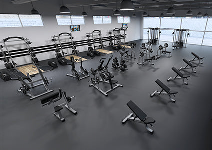 Strength Lp Gallery Highend