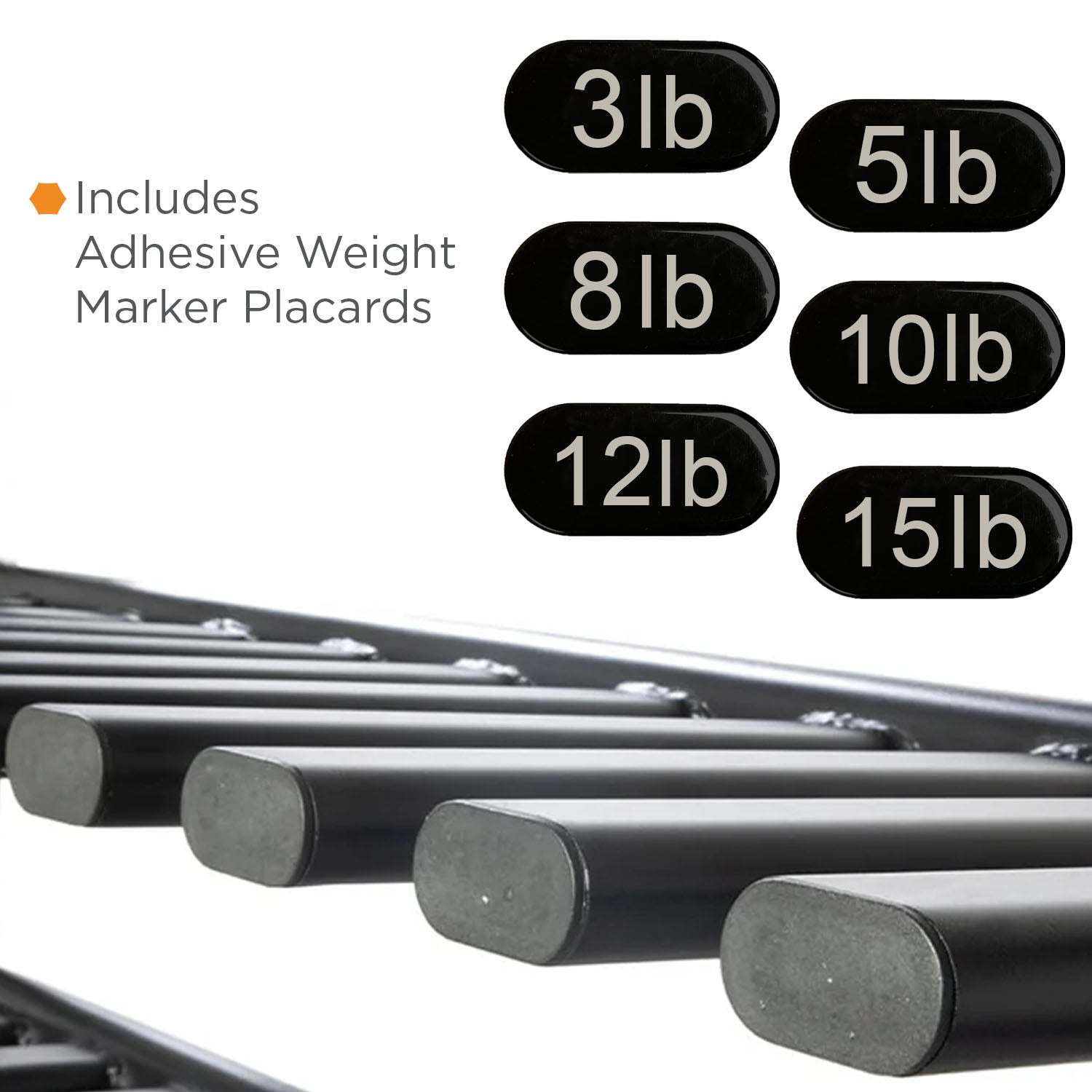 Denali Series Studio Vertical Dumbbell Rack