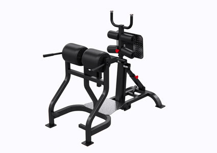 Pmx Lp Gluteham