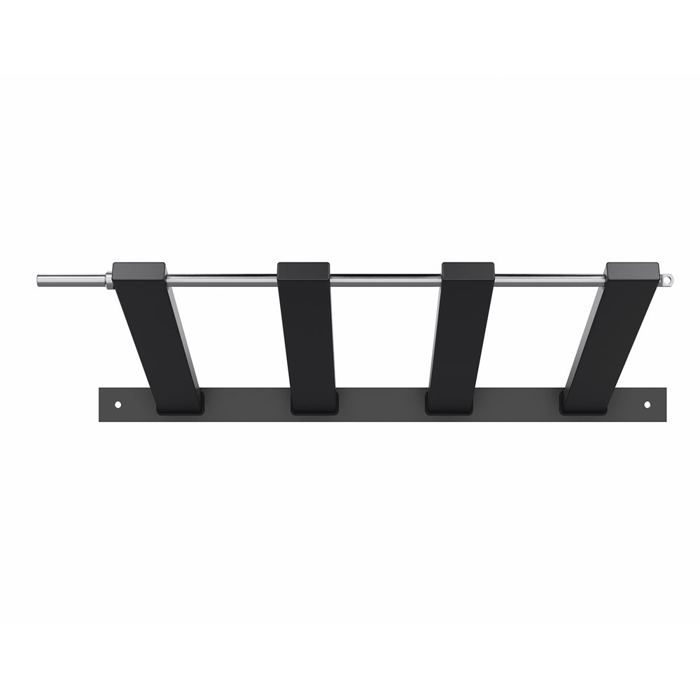 Secure Wall-Mounted Rack