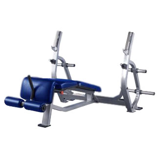 Pro Maxima PLR-300 Olympic Decline Bench w/ Weight Storage | Power Systems