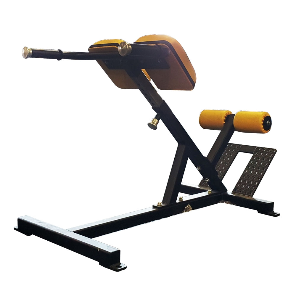 ProMaxima FW-78 Back Extension | Commercial | Steel | Power Systems
