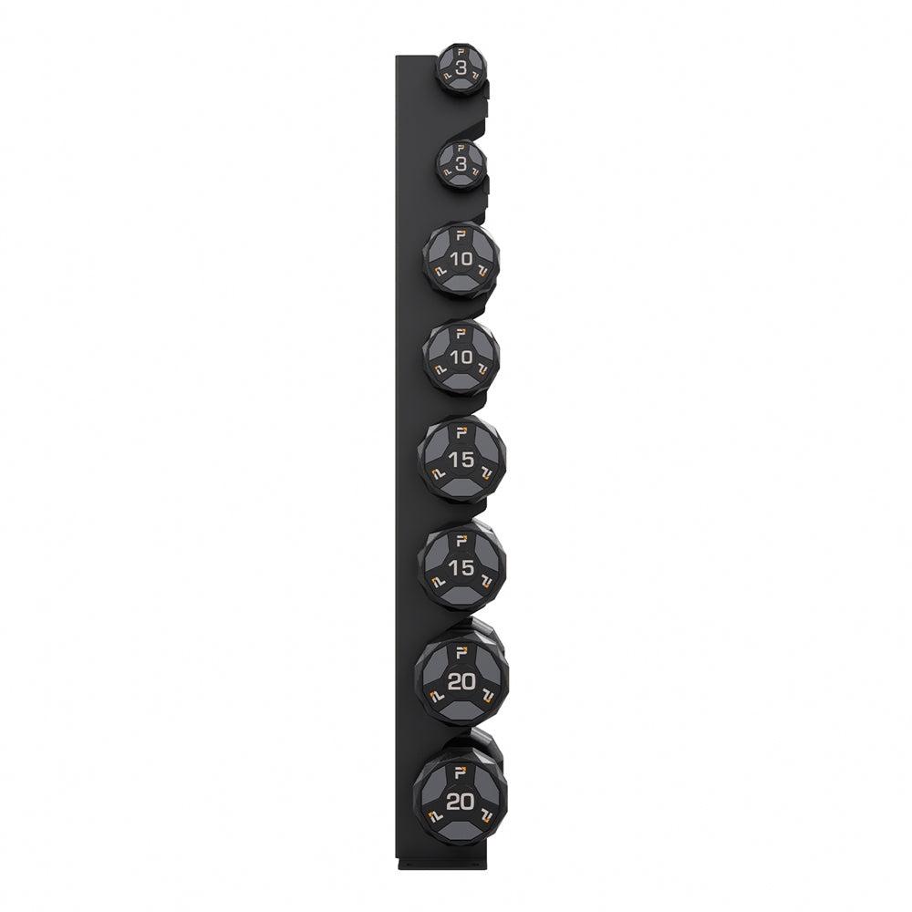 Four Pair Wall Mounted Dumbbell Rack