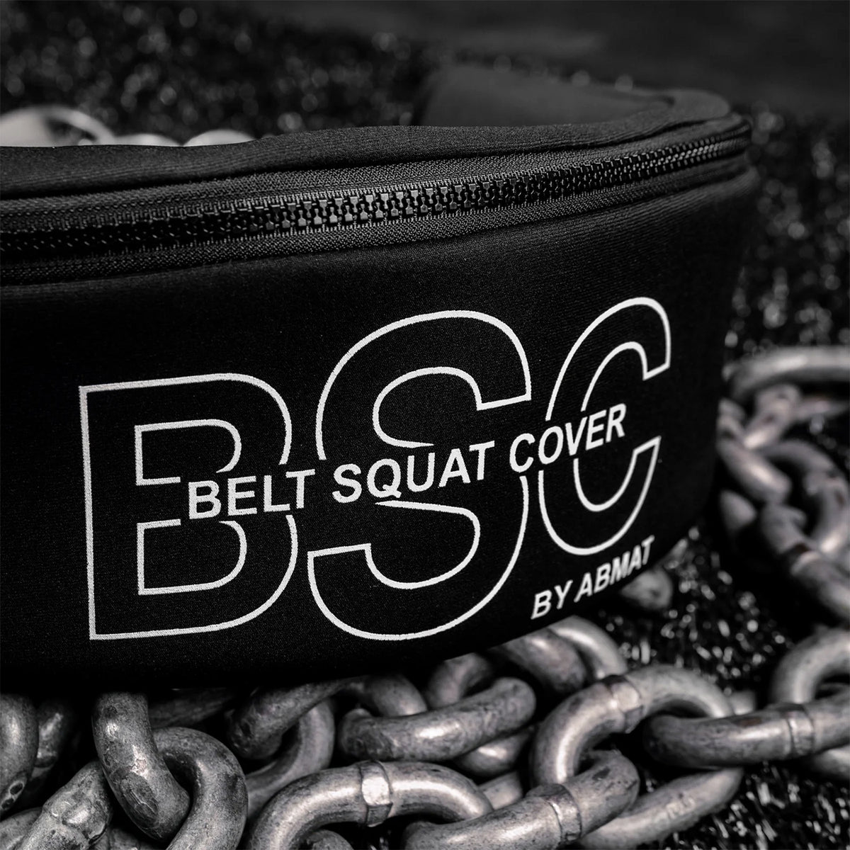 Belt Squat Cover