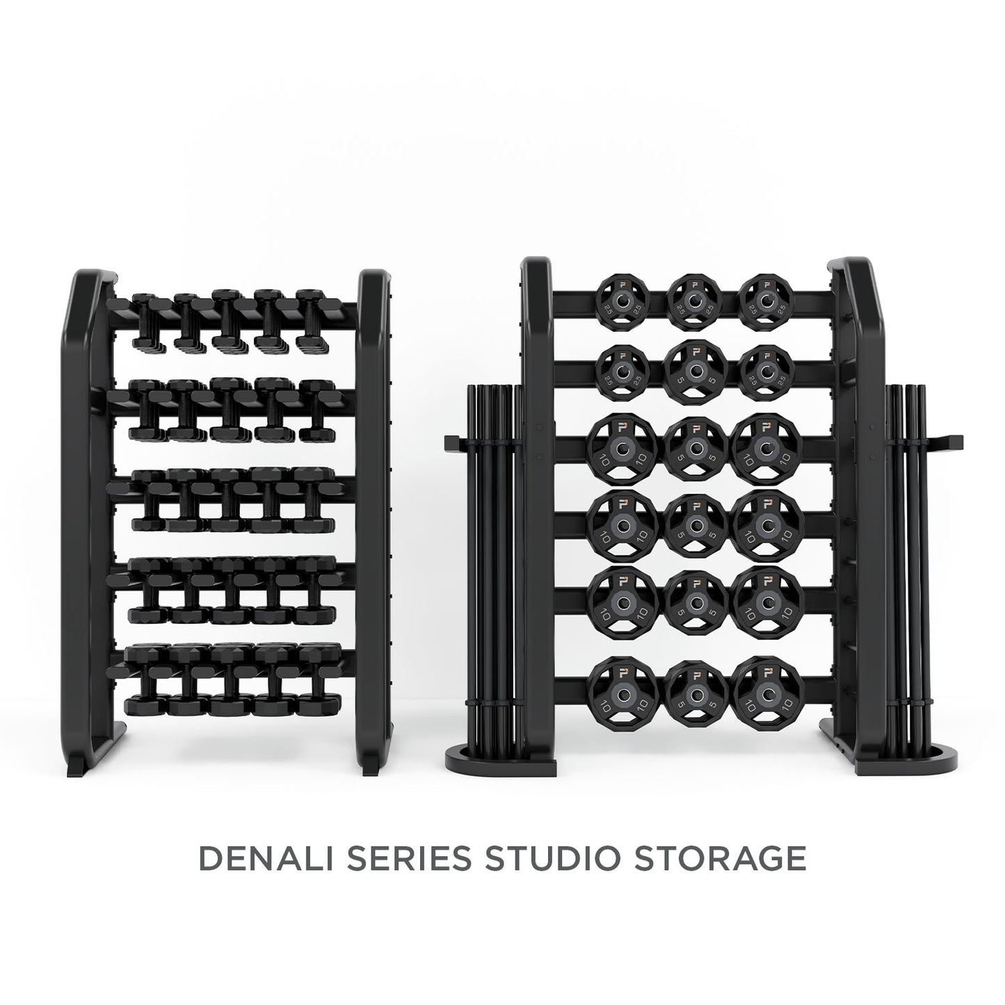 Denali Series Studio Cardio Pump Storage Rack