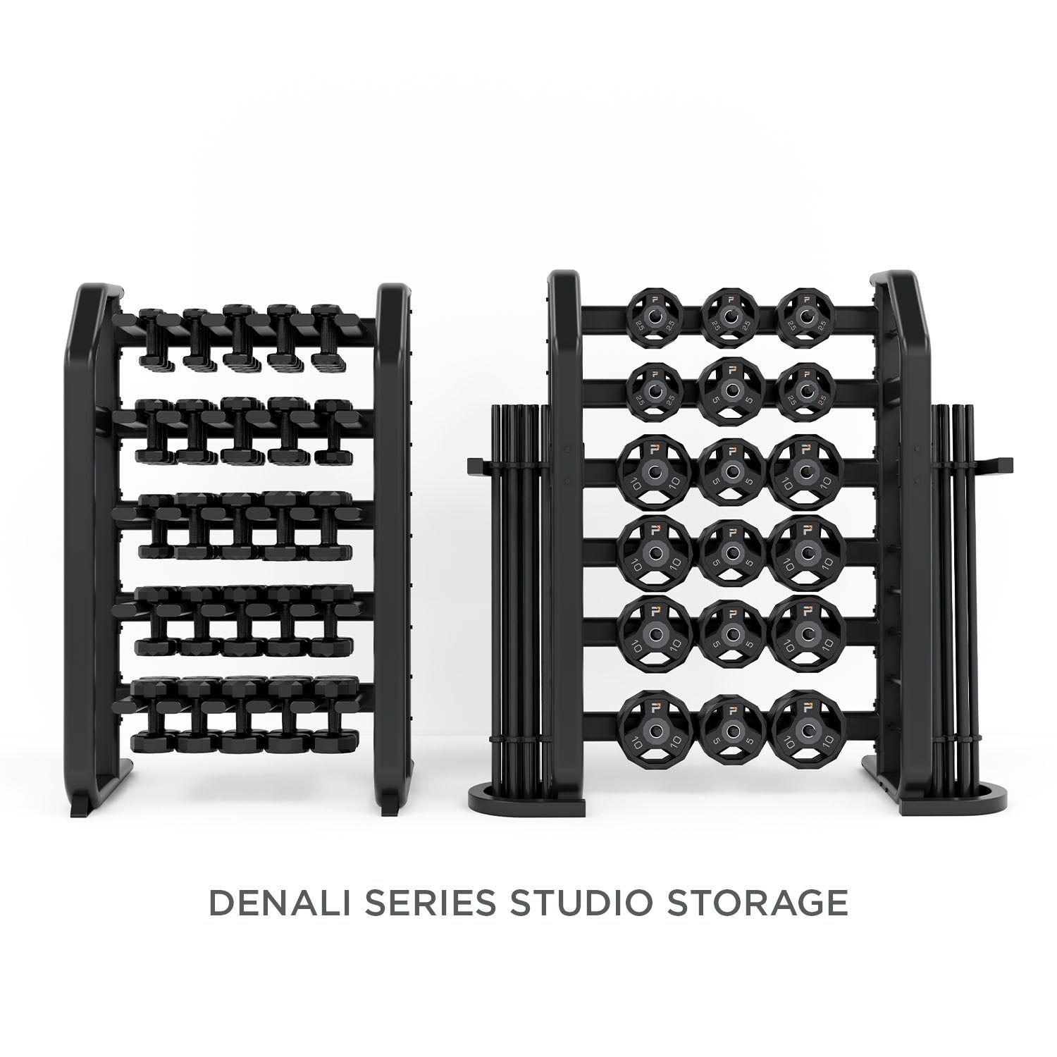 Denali Series Studio Cardio Pump Storage Rack