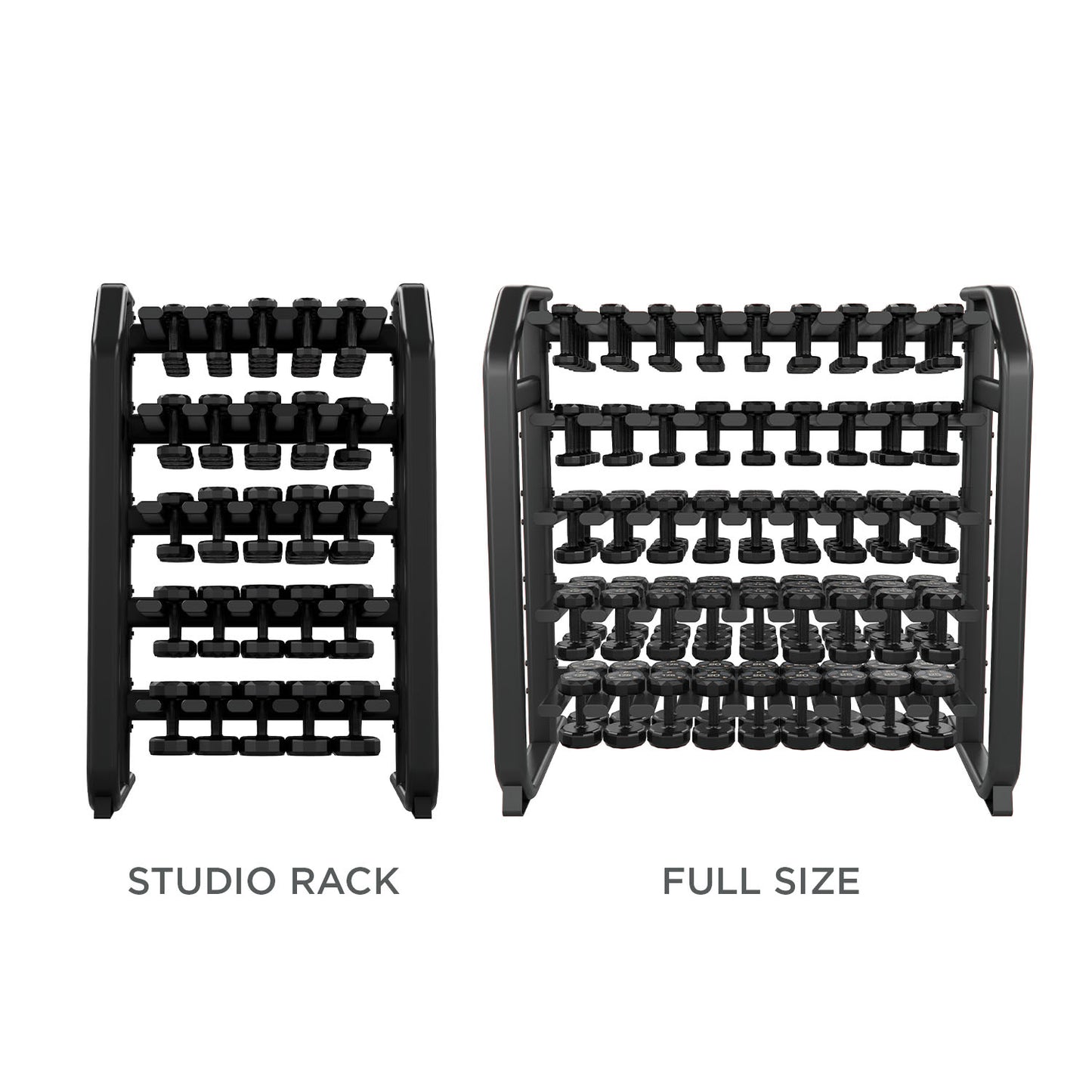 Denali Series Studio Vertical Dumbbell Rack