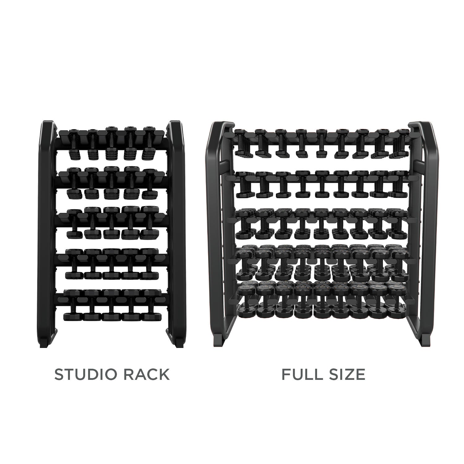 Denali Series Studio Vertical Dumbbell Rack