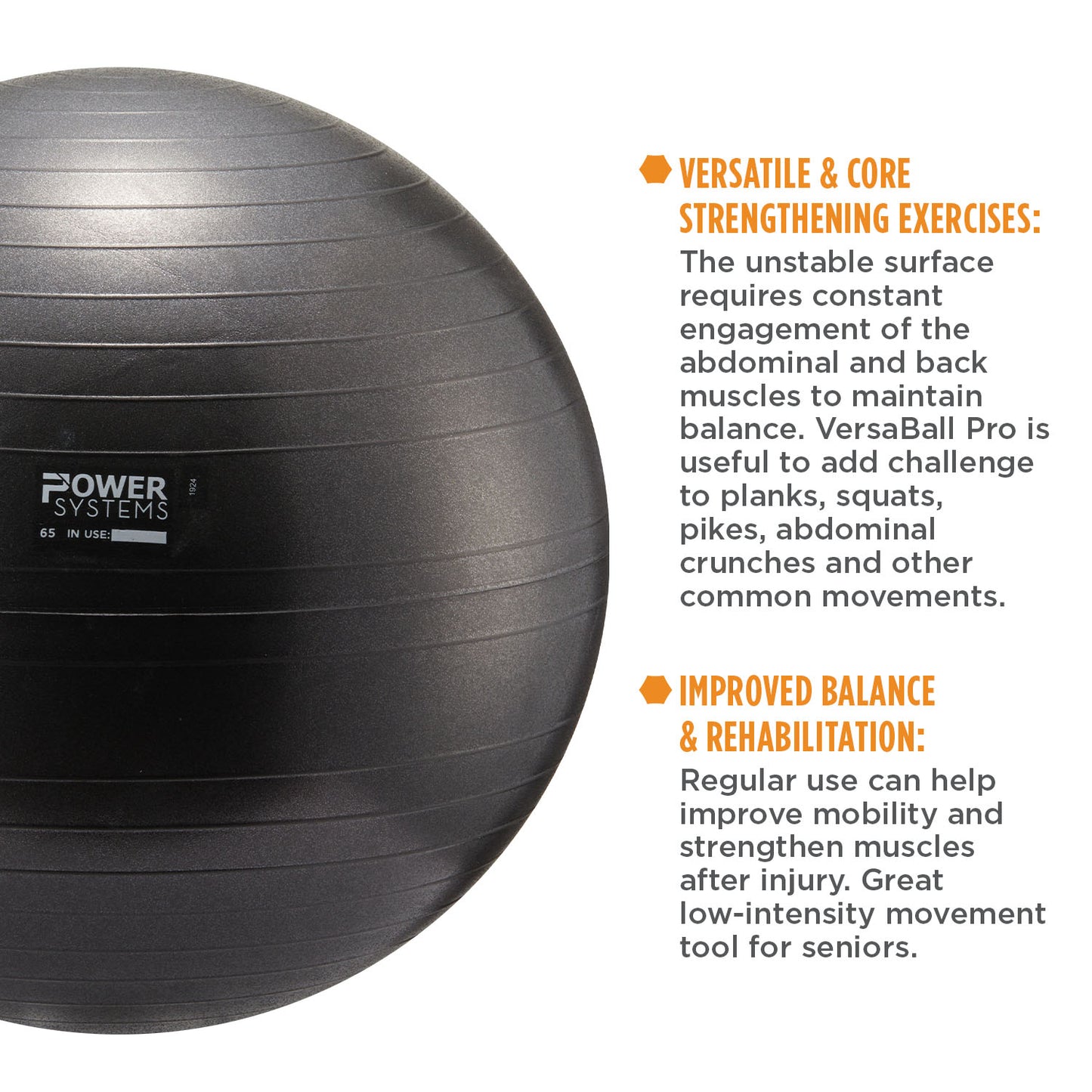 VersaBall Pro Stability Ball